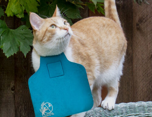 “When collars with bells didn’t work and hummingbirds were killed, the CatBib did the trick!”